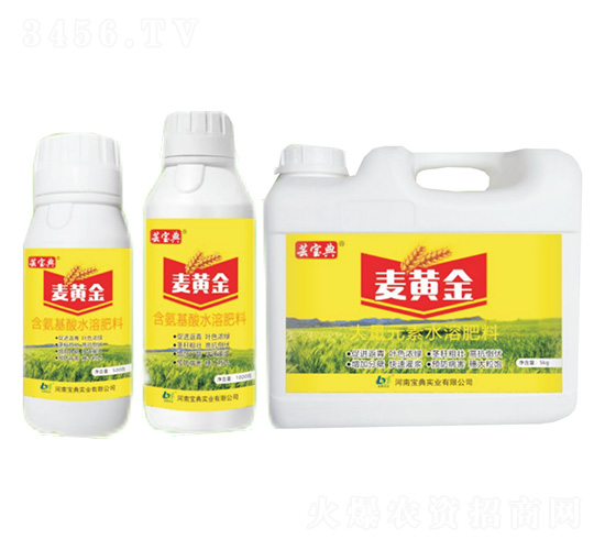 麥黃金-蕓寶典-寶典實業(yè)