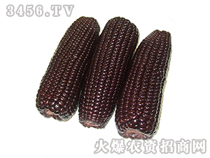 Ŵ׷N-ӯ_ 