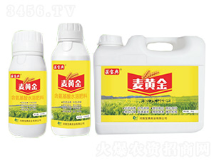 麥黃金-蕓寶典-寶典實業(yè)